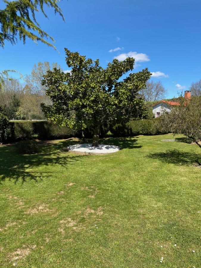Апартаменти A Finca Do Rio Vello Арсуа Екстер'єр фото